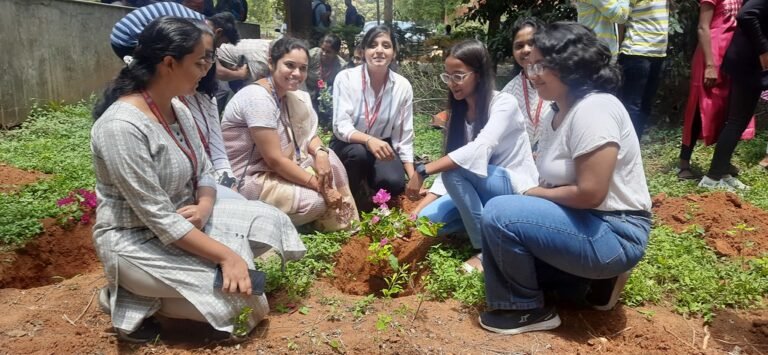 52955541943_e7a306e764_b